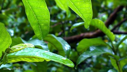 Tranquil Waves-Nature Scenery with Relaxing Music for Stress Relief and Sleep