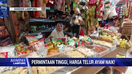 Permintaan Tinggi, Harga Telur Ayam Naik!