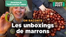 Cet automne les Anglais ont une nouvelle obsession : les unboxings de marrons