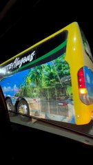 Motorista de ônibus e estudantes ficam em pânico após veículo sair da pista no Pilar