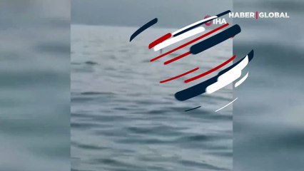 Zonguldaklı balıkçılar buldu, ekipler hemen el koydu