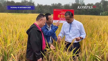 Momen Mentrans Iftitah Tinjau Laboratorium Padi Hibrida di China, Jajaki Kolaborasi Riset Pertanian