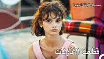 اعطى سنان وزينب موافقتهما على الزواج - مسلسل الياقة المغبرة 38