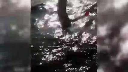 Karadeniz'de yabancı cisim alarmı! Balıkçılar buldu, ekipler harekete geçti