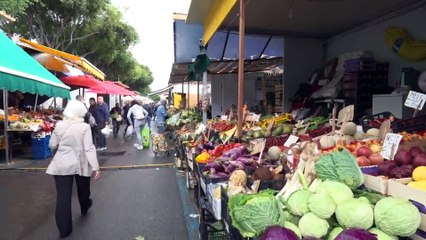 Rtp Telegiornale del 16 ottobre 2025