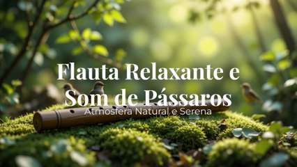Flauta Relaxante e Som de Pássaros | Atmosfera Natural e Serena