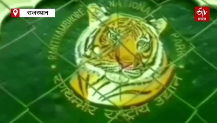 दीपावली पर रणथंभौर में लगा पर्यटकों का तांता, टाइगर सफारी की ऑनलाइन बुकिंग 30 नवंबर तक फुल