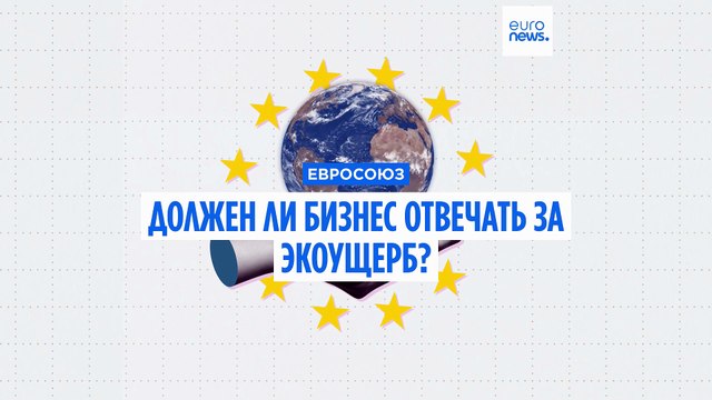 Должен ли бизнес в Европе отвечать за экоущерб?