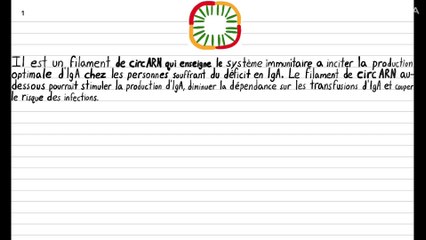 Un filament de circARN pour traiter le deficit déficit en IgA