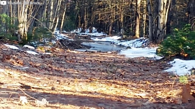 30 Most DISTURBING Appalachian Trail Encounters Ever Caught on Camera