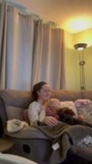Dog Snuggles Into Toddler's Lap