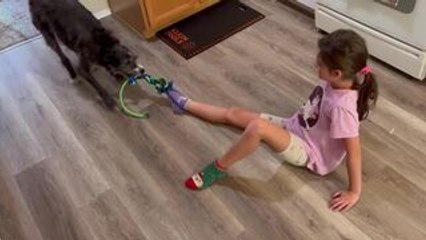 Dog Pulls Little Girl Along Kitchen Floor