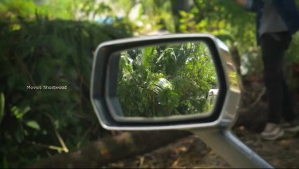 The SHOCKING Truth About Stag 2024 movie explained in Hindi dubbed