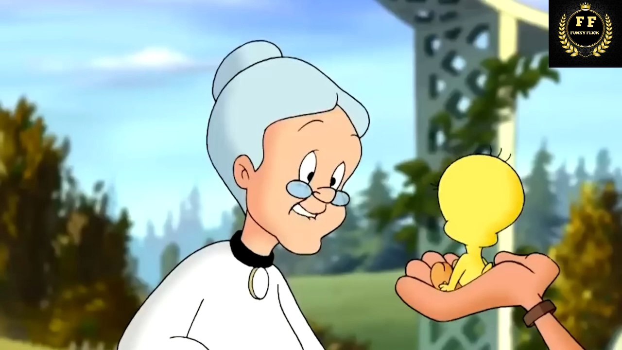 Baby Looney Tunes - funny kids video  | Cartoon for kids |FUNNY FLICK
