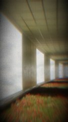 Backrooms - Épisode 16 : Miss Sunshine ☀️