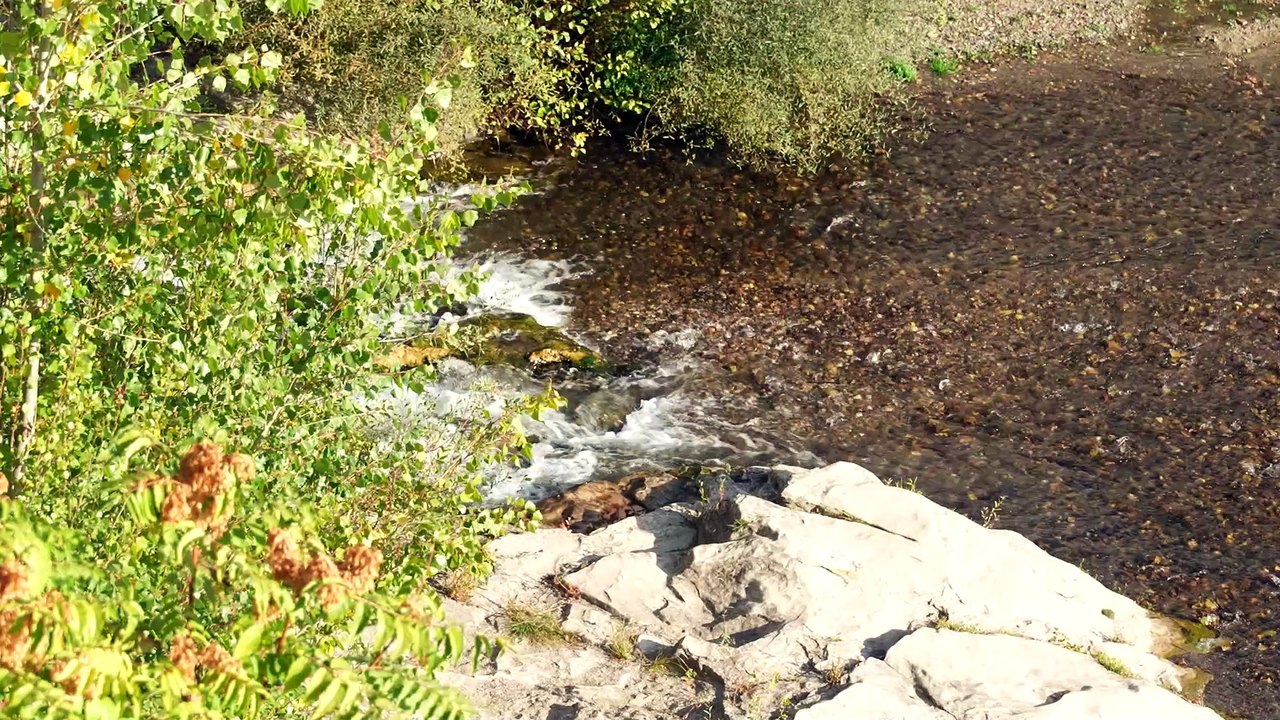 Rutas del Agua Multimedia de la Fundación Canal pone en valor la biodiversidad de Madrid