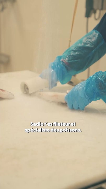 La vitesse des poissons sous l’eau ! 🐟 Vidéo 3/4 de la série avec @sadio_diab