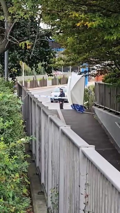 Police at scene after dead body discovered near M275