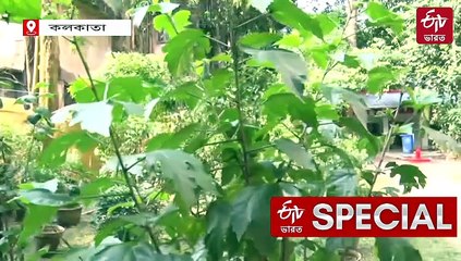 মনোহর ডাকাতের কালীপুজো, দক্ষিণ কলকাতার মন্দিরে আজও ভিড় করেন ভক্তরা