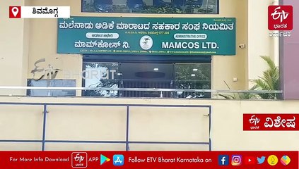 ಅಡಿಕೆಗೆ ಬಂತು ಚಿನ್ನದ ಬೆಲೆ: ಕ್ವಿಂಟಾಲ್​ಗೆ 1 ಲಕ್ಷ ರೂ., 10 ವರ್ಷಗಳಲ್ಲಿಯೇ ಗರಿಷ್ಠ ದರ ದಾಖಲು