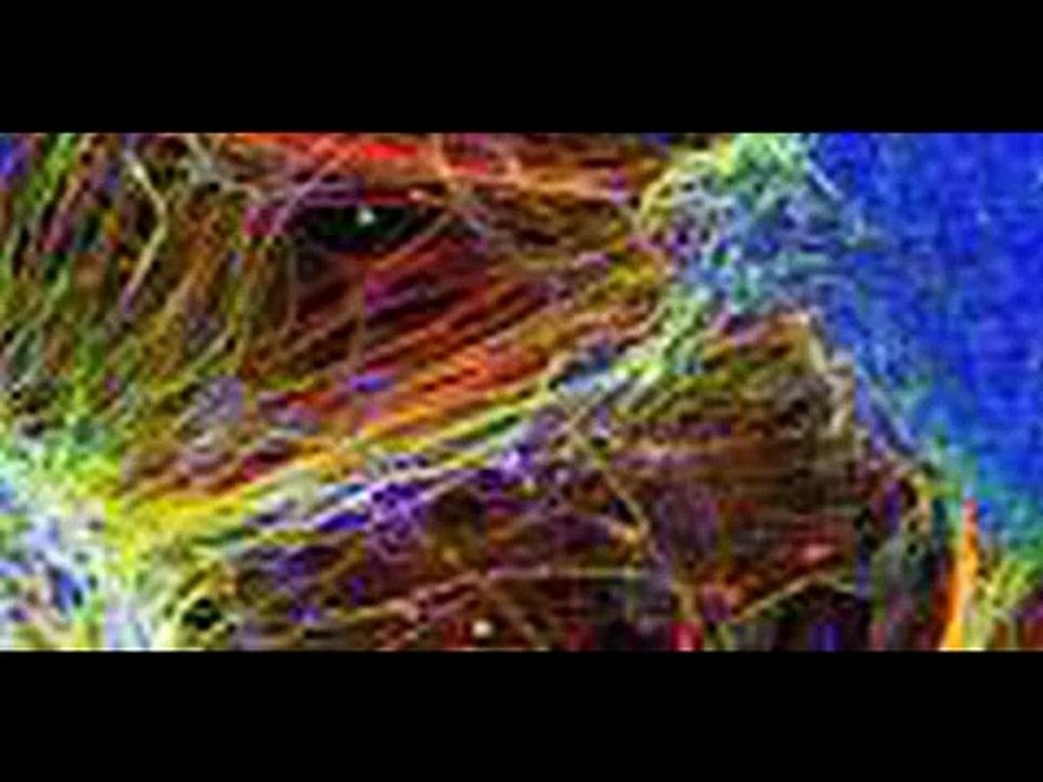 La constellation neuronale en  poésie, en  images et en musique 12 06 2013
