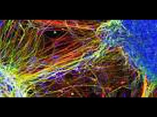 La constellation neuronale en  poésie, en  images et en musique 12 06 2013