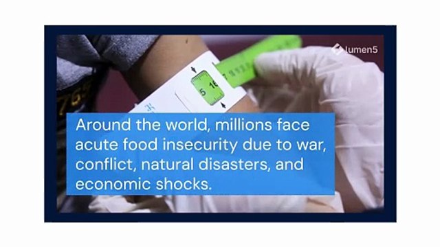 Humanitarian Food Aid Supporting Vulnerable Populations in Crisis