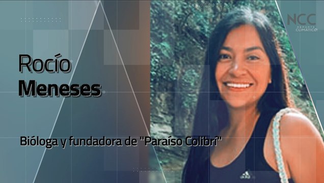 Reporte Climático 220 | Ciudades Refugio: El Retorno de los Polinizadores