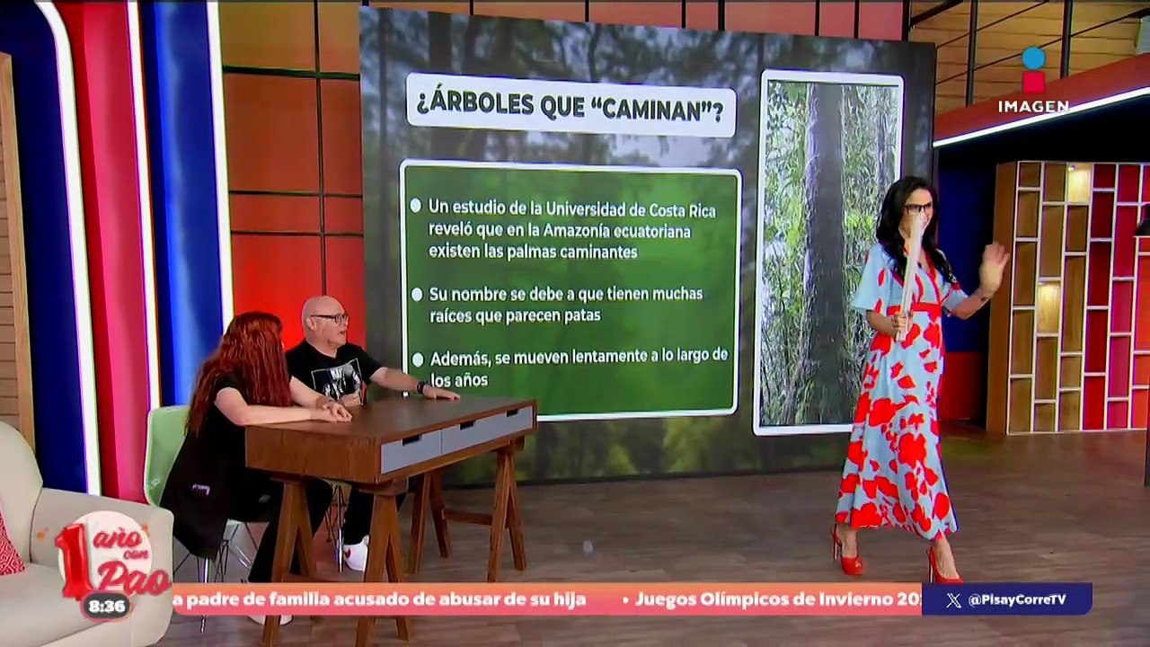 ¿Sabias que hay un lugar donde los árboles "caminan"? | DPC con Paola Rojas