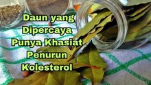 4 Daun Penurun Kolesterol, Nomor 2 Banyak Ditanam di Halaman yang tidak kita sadari