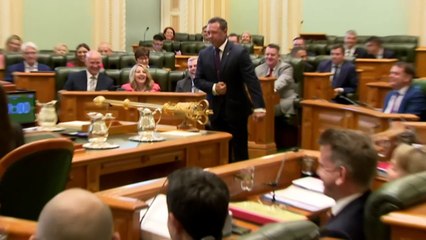 Katter's Australian Party MP Nick Dametto resigns from Queensland parliament to run in Townsville mayoral by-election