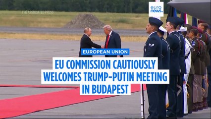 EU cautiously welcomes Trump-Putin meeting in Budapest but experts remain sceptical