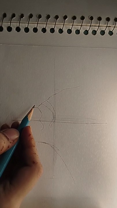 How to draw a bald eagle face