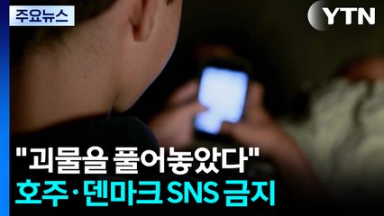 "괴물을 풀어놓았다"...호주 이어 덴마크도 미성년 SNS 전면 금지 / YTN