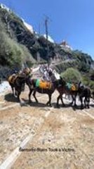 Woman Slips and Rolls Down Hill