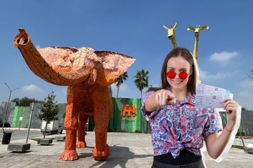 Zoológico La Pastora gratis por un mes, el plan perfecto para toda la familia