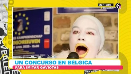 Concurso para imitar a las gaviotas