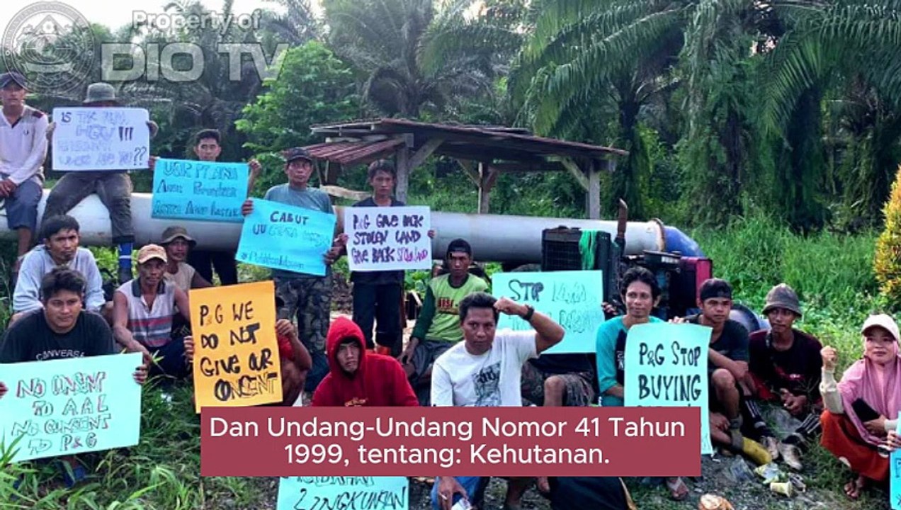 Putusan MK Tahun 2025 Payung Hukum Masyarakat Adat Lawan Kriminalisasi Satgas PKH. Ini Tanggapan Sekretaris Jenderal MADN Jacobus Kumis dan Direktorat Masyarakat Adat DPP PSI, Heri Saman