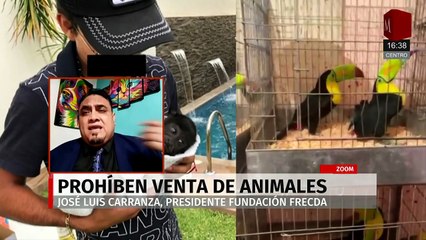 El Tribunal prohíbe la venta de animales en el Mercado Sonora por pésimas condiciones