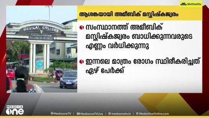 Amoebic encephalitis  | സംസ്ഥാനത്ത് അമീബിക് മസ്കിഷ്കജ്വരം ബാധിക്കുന്നവരുടെ എണ്ണം വർധിക്കുന്നു