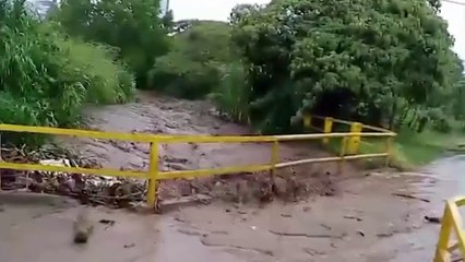 tn7-municipalidad-de-cartago-limpia-y-quita-escombros-en-cauce-de-río-taras-por-inundaciones-171025