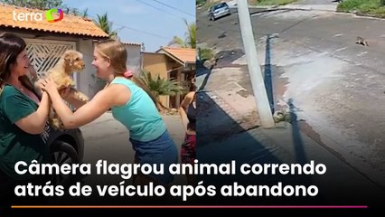 Cachorra flagrada sendo abandonada é adotada por família no interior de São Paulo