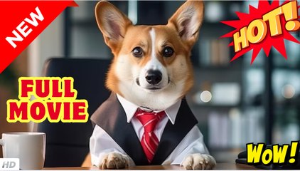 As Boss As Cute As A Dog