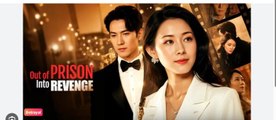 OUT OF PRISON INTO REVENGE English Sub