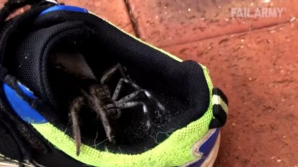 Aussies Being Idiots; Fails Around The World