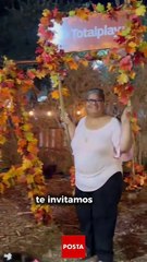 Disfruta de sets fotográficos de otoño increíbles y gratis en San Nicolás