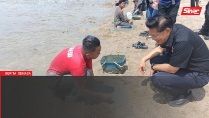Pantai Klebang bertukar ‘lautan manusia’ gara-gara pesta kerang