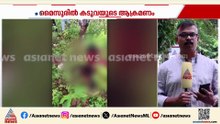 മൈസൂരിൽ കര്‍ഷകന് കടുവ ആക്രമണം; ഗുരുതര പരിക്ക്
