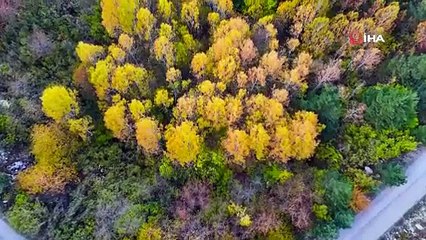 Gümüşhane’nin Alpleri aratmayan sonbahar güzelliği