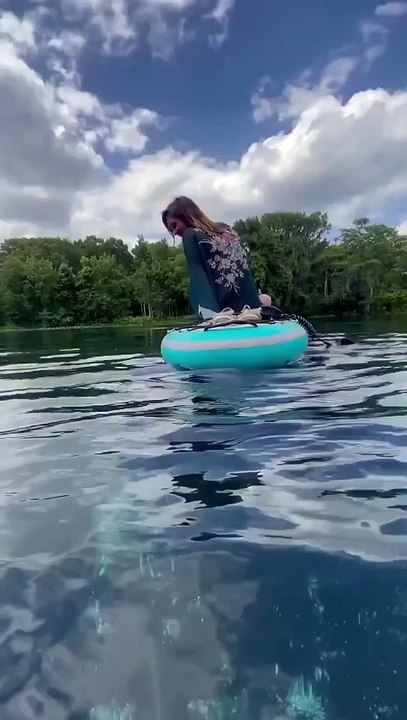Baby manatee plays with paddle board fins
